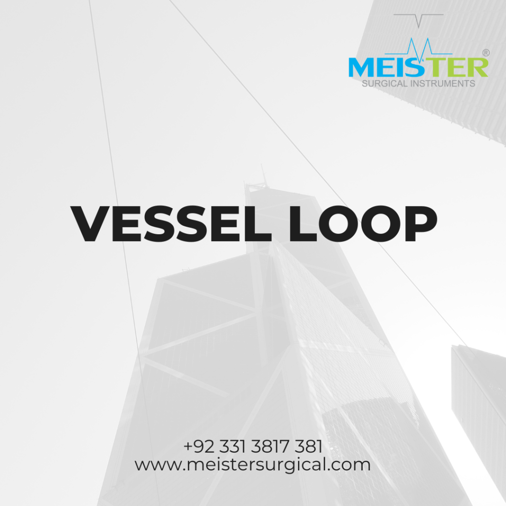 vessel loop