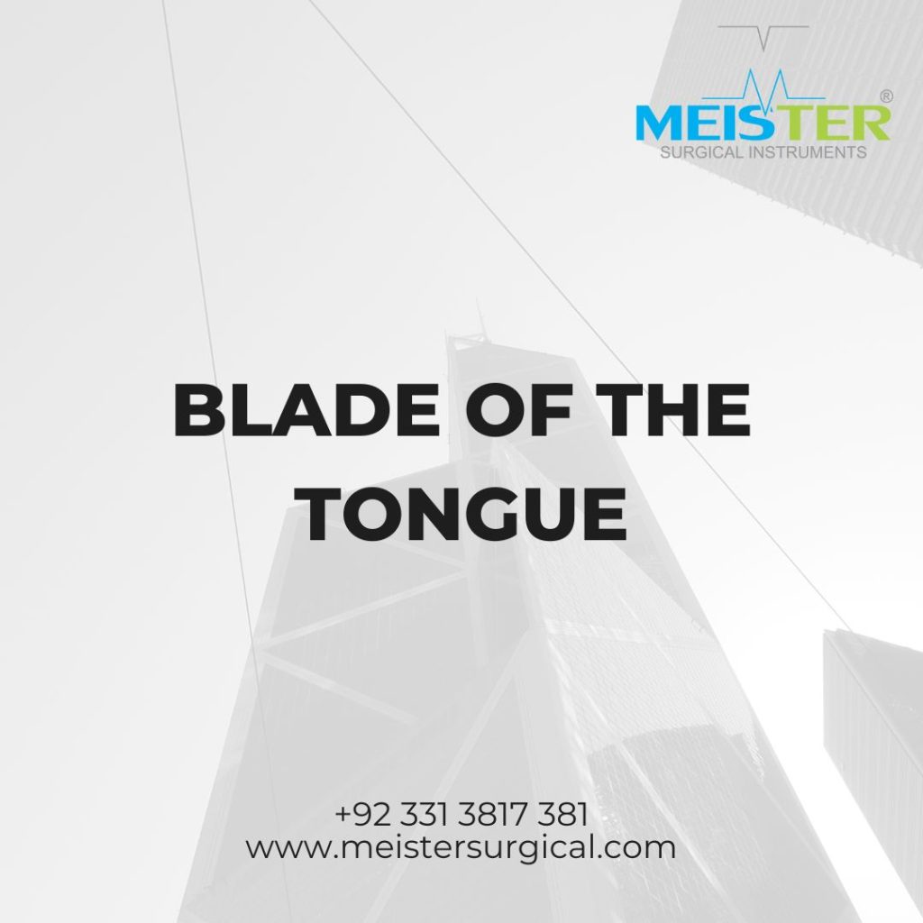blade of the tongue